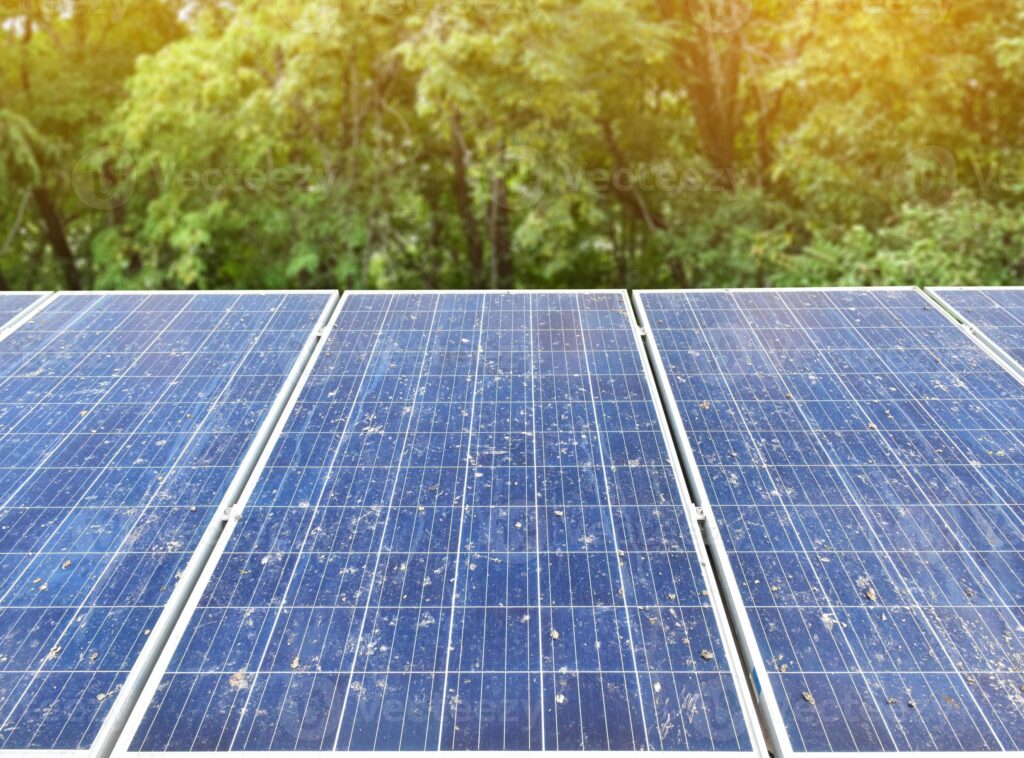 saulės modulių valymas nuo paukščių išmatų